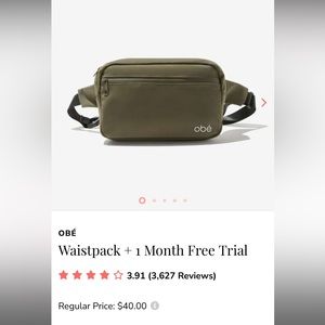 OBE belt bag NWT